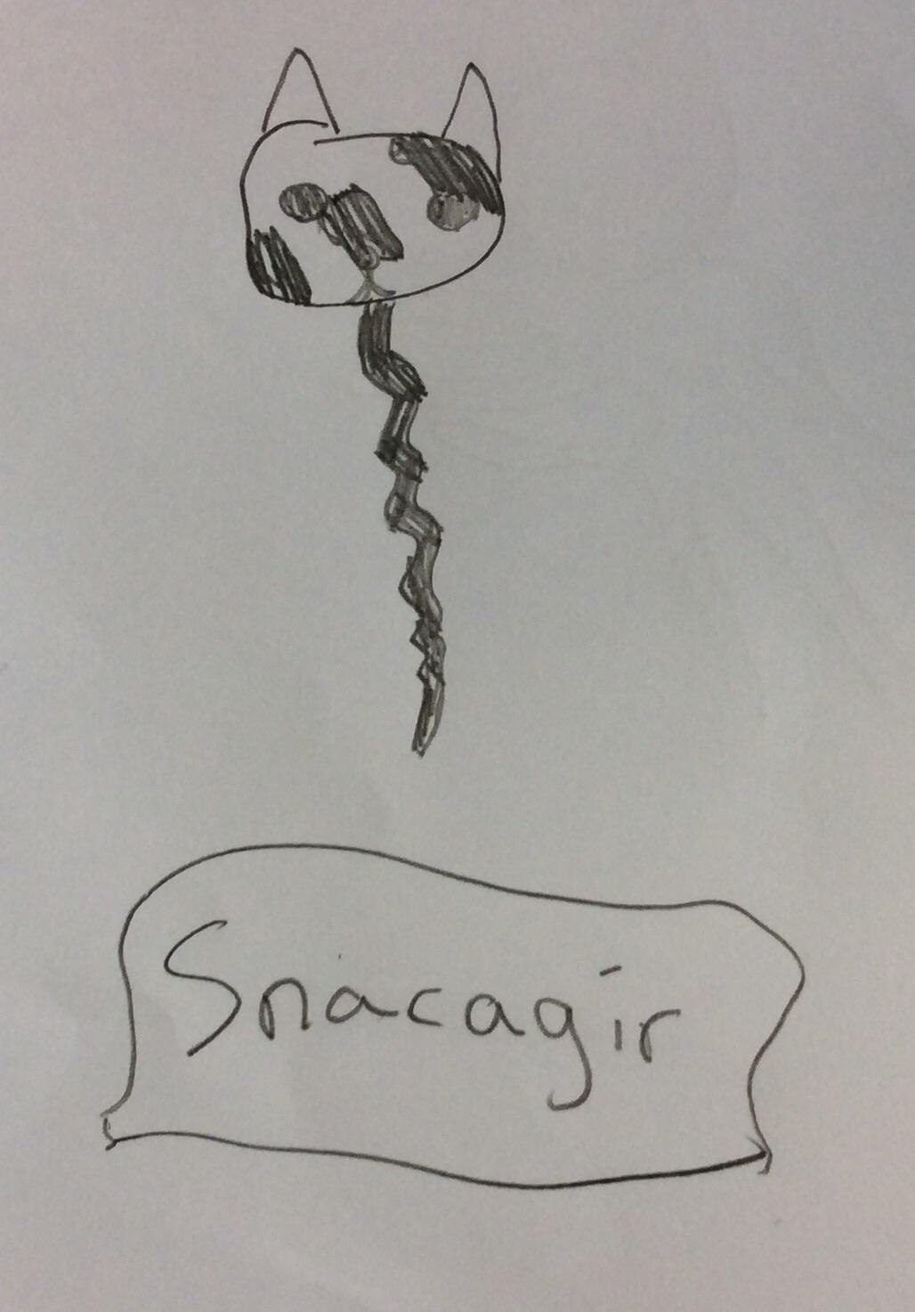 My Snacagir