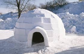 Igloo