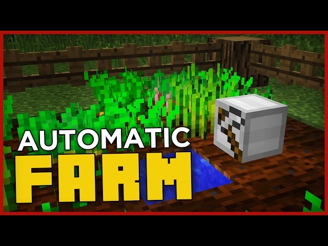 I Made An Automatic Farm