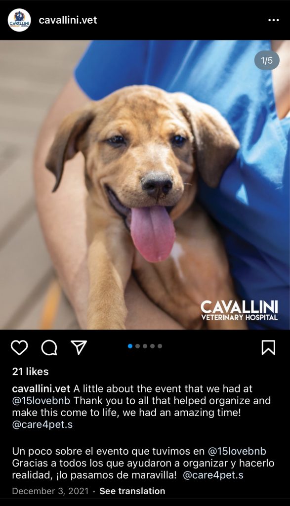 Cavallini Vet