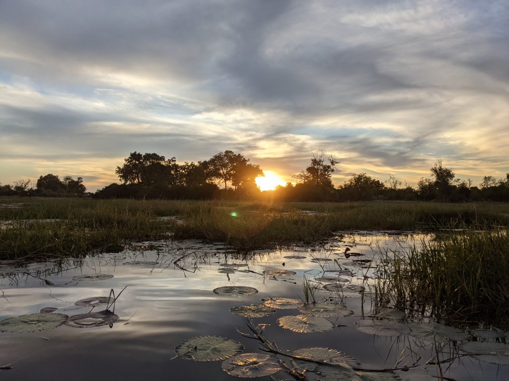 Mary Jane O’Connor: A Heart Connected to Nature