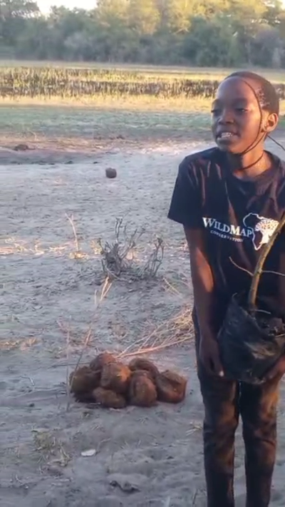 Students Restoring Ancestral Mowanas