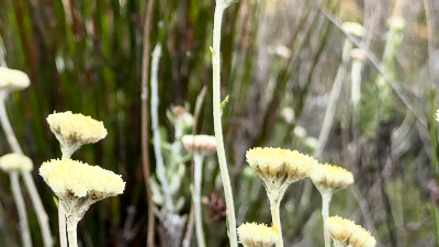 A warm winter’s day before a cold front