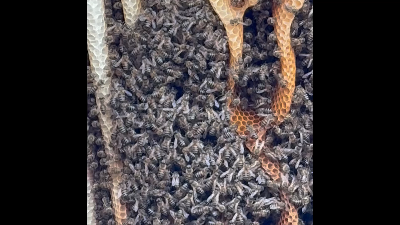 Location Location Location