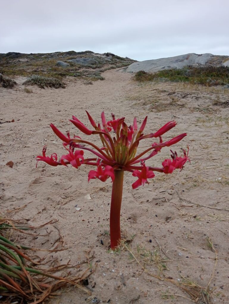 How AI Knowledge Begins – The Basics