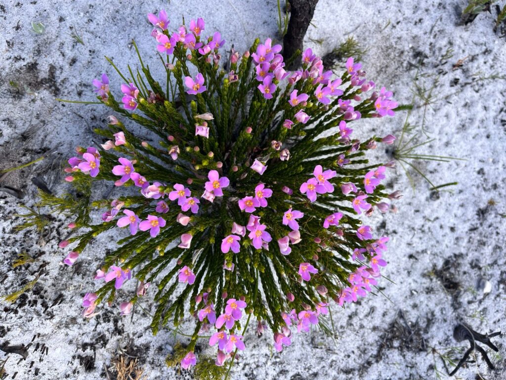 How AI Learns and Evolves