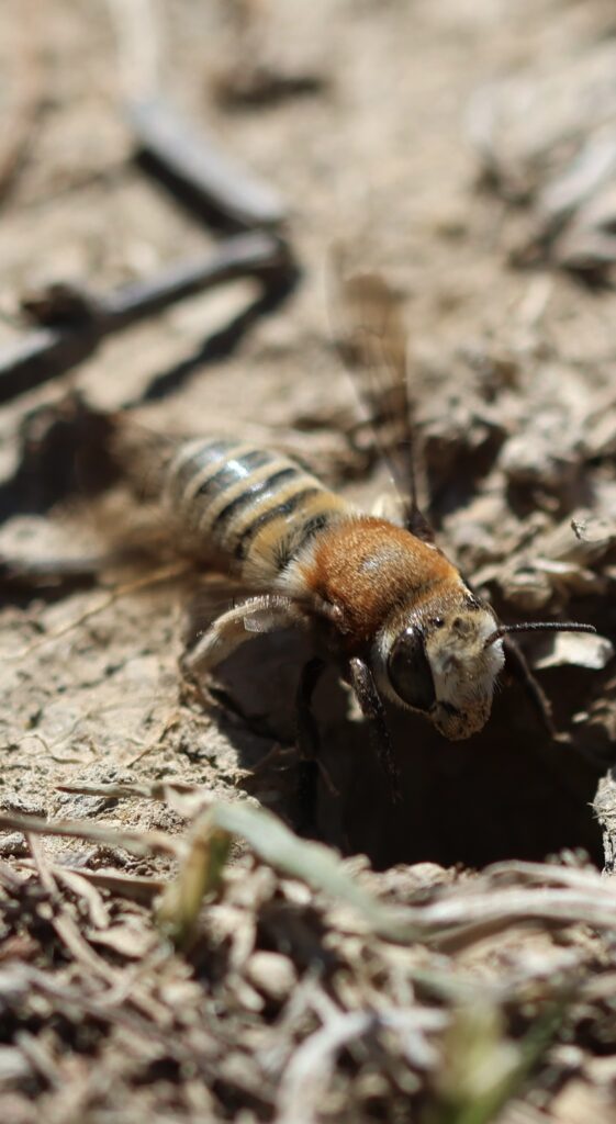 Entering a Different Era