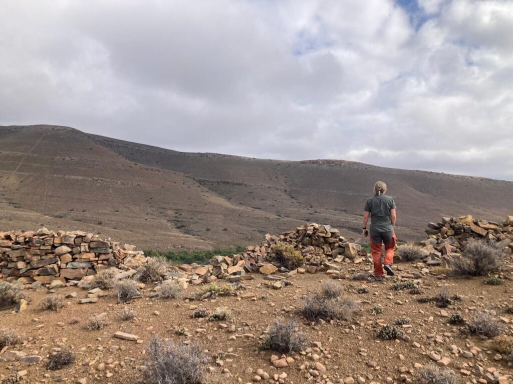 Why the Wild Bee Reserve Matters