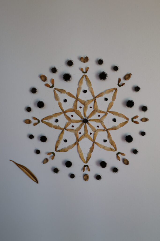 Example from Lydia's exhibit