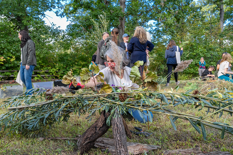 New Campfire by Julia Kemerer