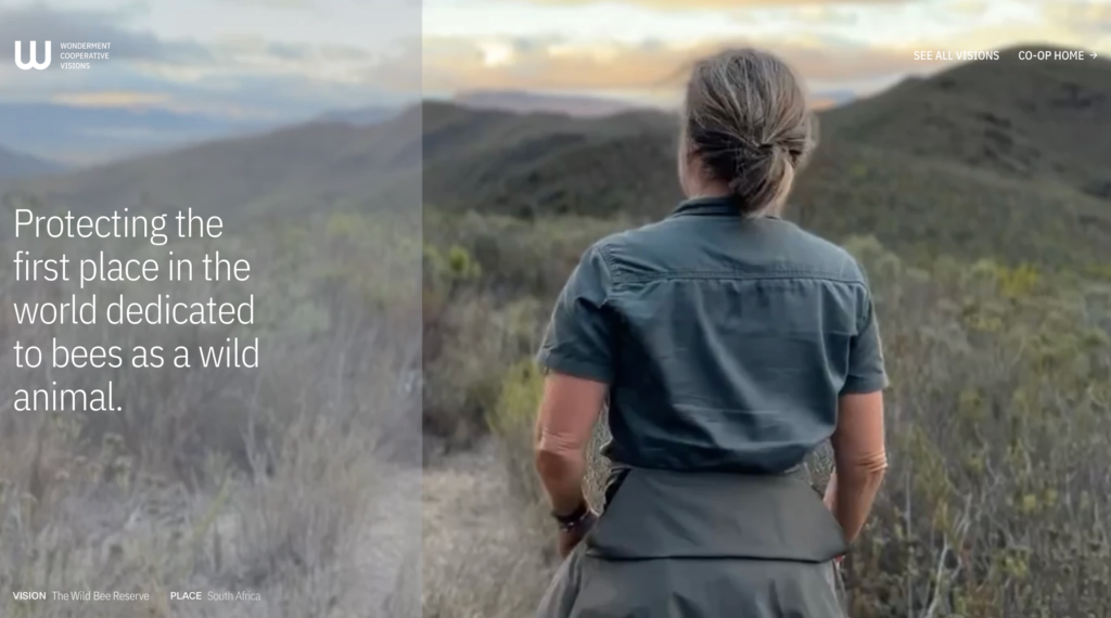 The Wild Bee Reserve