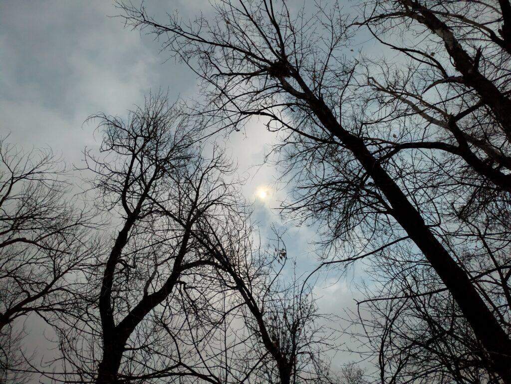 actividades del ano pasado