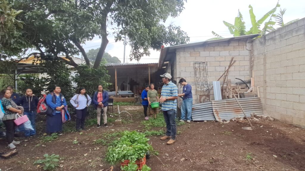 Explicación del proceso de siembra, ya aplicando la practica