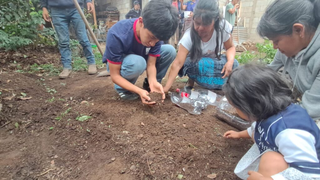 Practica de siembras en botellas plásticas