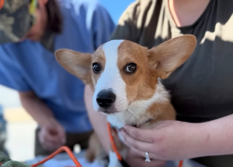 A Personal Thank You from Ruff Haven